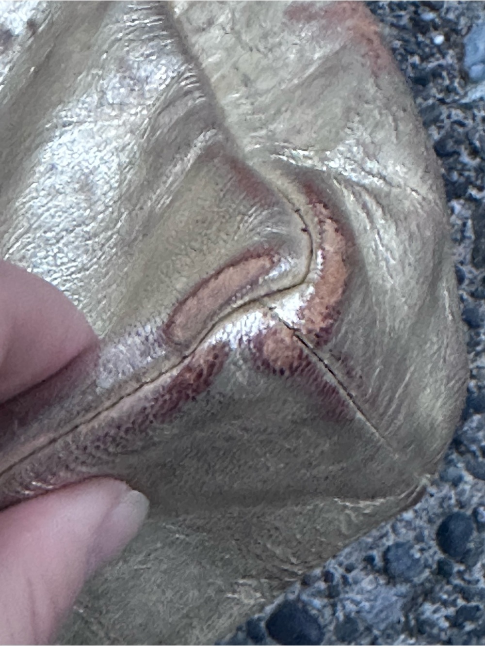 Dries Van Noten Metallic Gold Leather Crossbody Bag - Picture 9 of 9